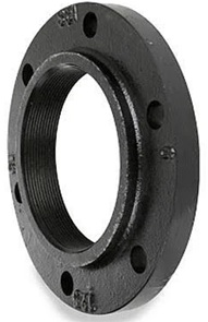 Vertical Multistage Pump Flange